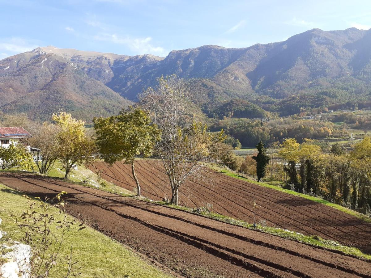 Coste Del Gaggio - Country House B&B - Garda Trentino Drena Ngoại thất bức ảnh
