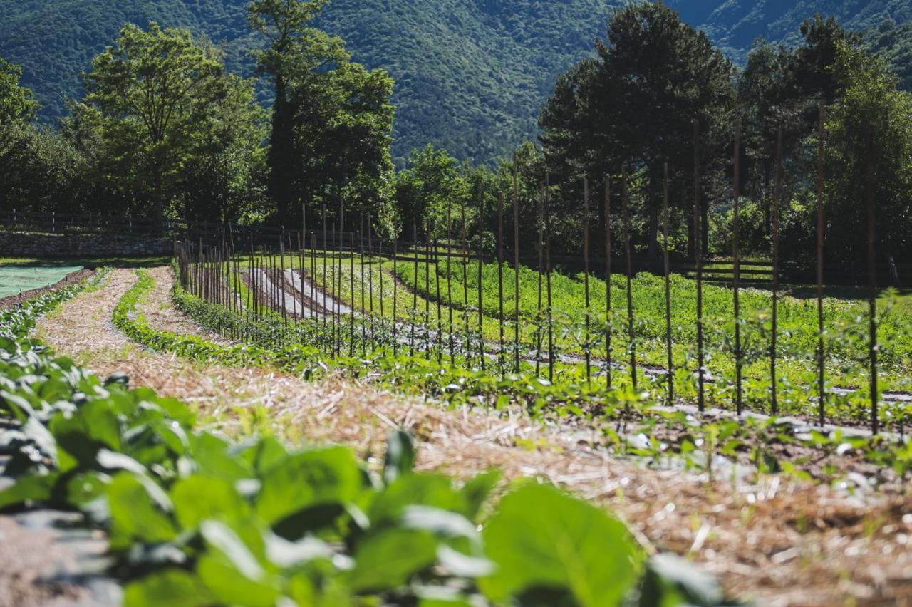 Coste Del Gaggio - Country House B&B - Garda Trentino Drena Ngoại thất bức ảnh