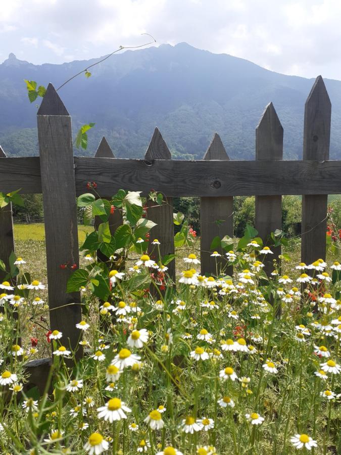 Coste Del Gaggio - Country House B&B - Garda Trentino Drena Ngoại thất bức ảnh