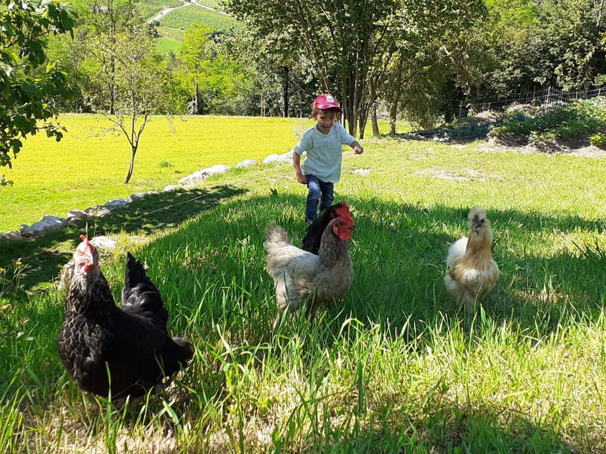 Coste Del Gaggio - Country House B&B - Garda Trentino Drena Ngoại thất bức ảnh