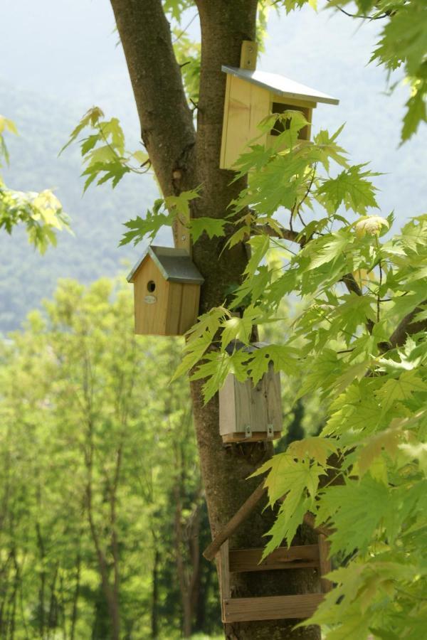 Coste Del Gaggio - Country House B&B - Garda Trentino Drena Ngoại thất bức ảnh