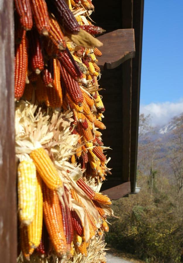 Coste Del Gaggio - Country House B&B - Garda Trentino Drena Ngoại thất bức ảnh